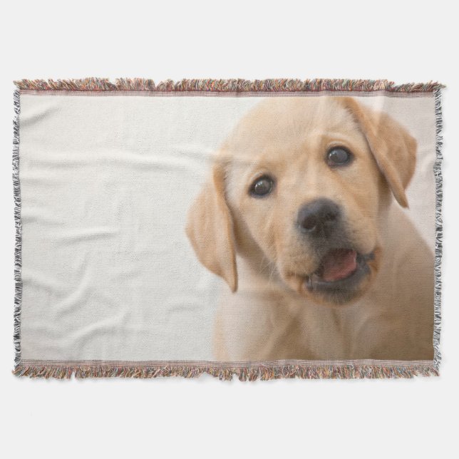 Manta Filhote de cachorro dourado de Labrador (Frente)