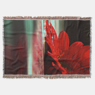 Manta Flores Red Daisy Gerbera