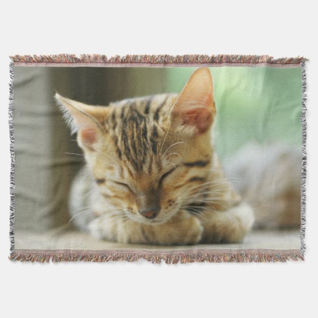 Manta Gatinho pequeno do bebê do sono (Frente)