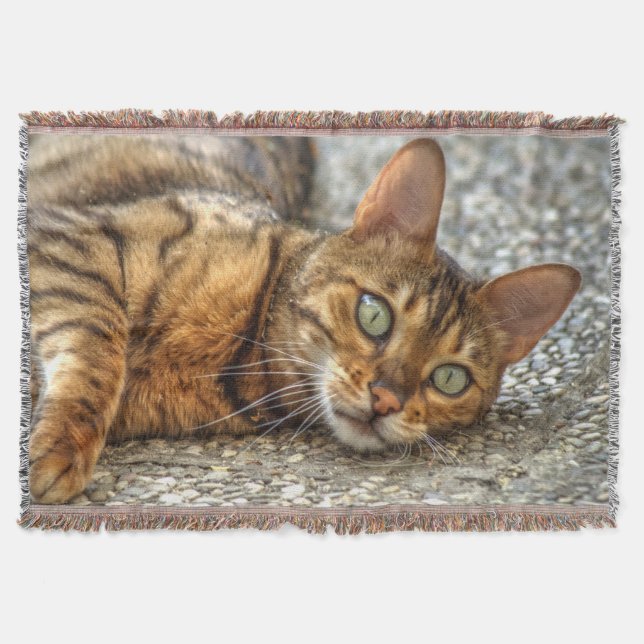 Manta Gato Bengala preguiçoso (Frente)