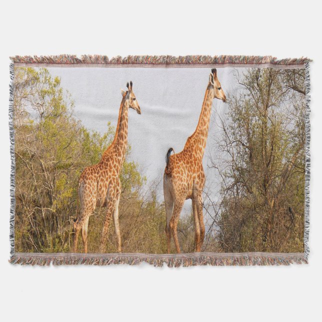 Manta Giraffe Pair (Frente)