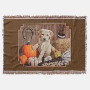 Manta Labrador Retriever Dog & Pumpkins Brown
