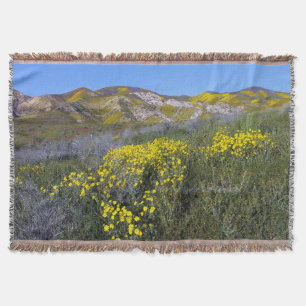 Manta Monumento Nacional do Carrizo Plain