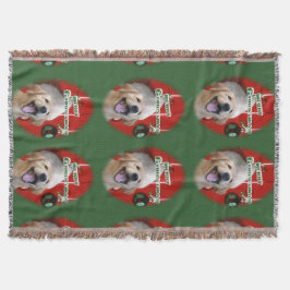 Manta Natal para ouro Retriever