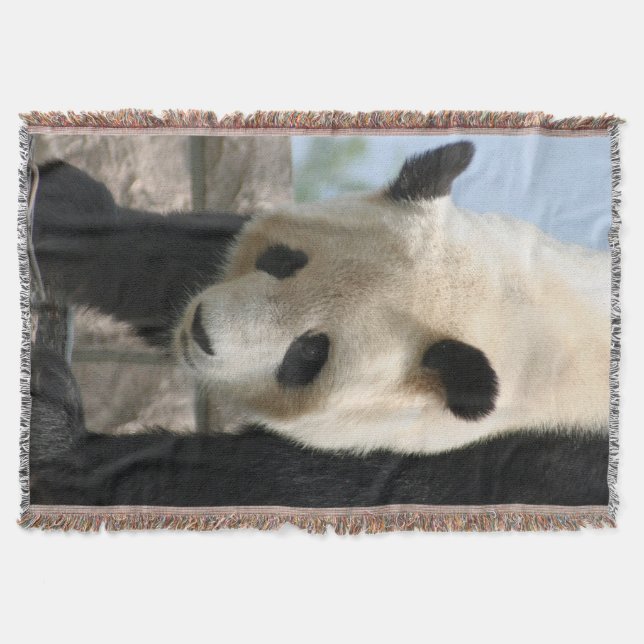 Manta Panda20170506_by_JAMFoto (Frente)