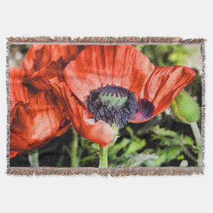 Manta Papagaios vermelhos e flores de homens florescem p