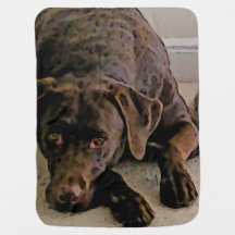 Cobertor de bebês do laboratório de chocolate