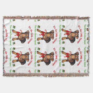 Manta Pinscher diminuto