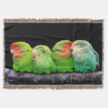 Quatro Pequenas Canárias