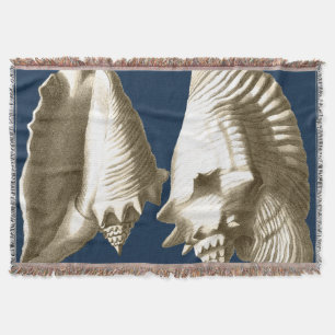 Manta Sepia Conch Seashells