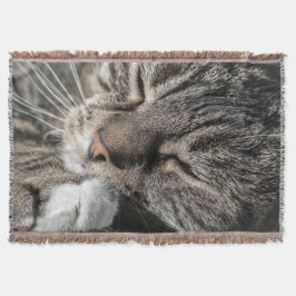 Manta Tabby De Dormência