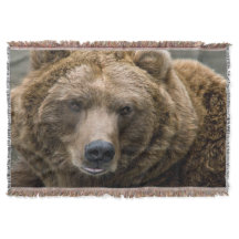 Urso de Brown