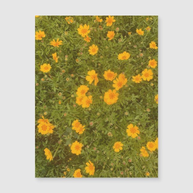 Manteiga Daisy Garden Magnet (Frente)