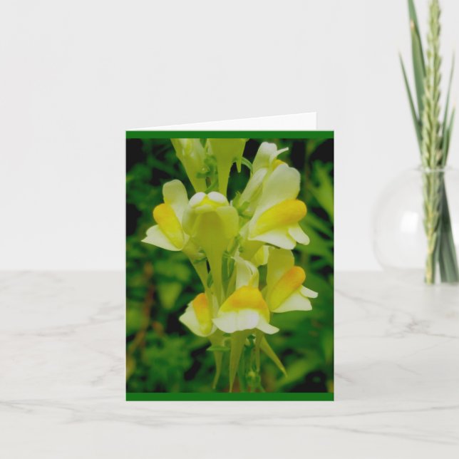 Manteiga 'n Cartão de Nota de Ovos (Frente)