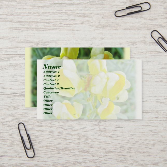 Manteiga 'n Ovos Cartão de visita (Frente/Verso In Situ)