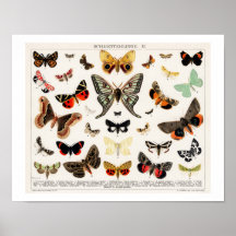 MANTEIRAS DE VINTAGEM E POSTER DE LITOGRAFIA DA MÃ