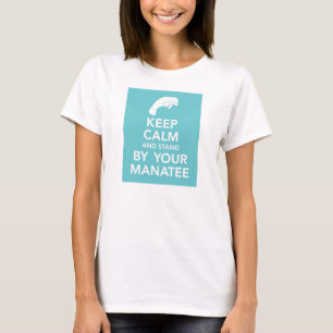 Mantenha a calma e esteja por seu t-shirt do
