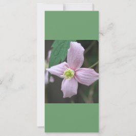 mantenha a calma e leia, flor rosa do jardim