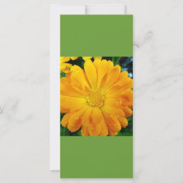 mantenha a calma e leia, marco amarelo da margarid