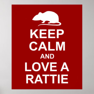 Mantenha o poster do amante calmo do rato