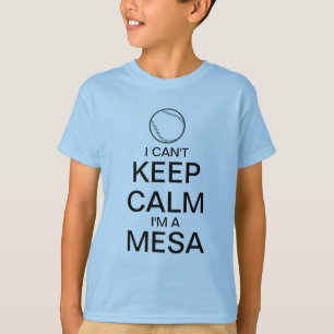 Mantenha o t-shirt do basebol da calma