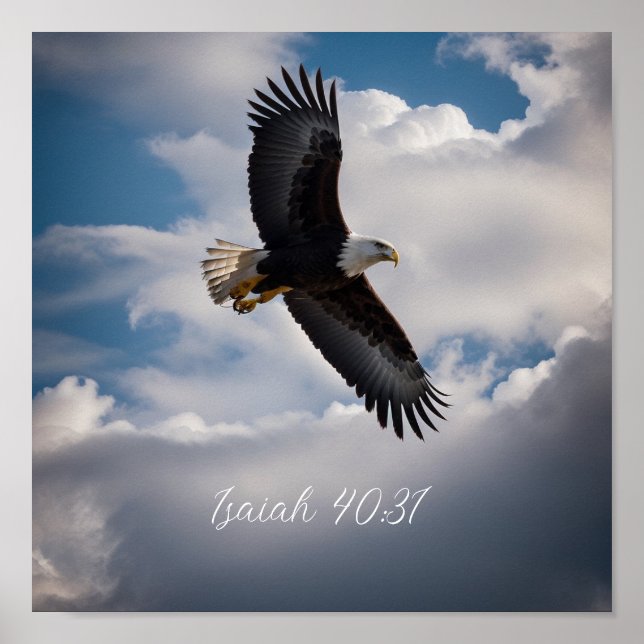 Mantenha Ou Crie O Seu Próprio Poster (Frente)