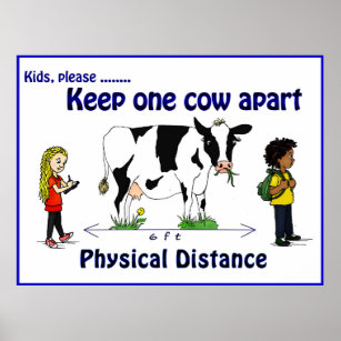 Mantenha uma vaca separada Poster de distância fís