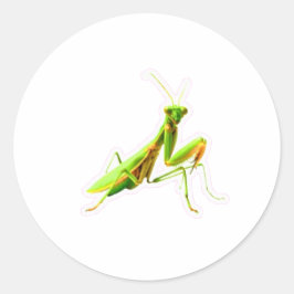 Mantis Religiosa Verde Majestosa Adesivo - Caçador