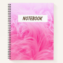 Manuscrito e caligrafia