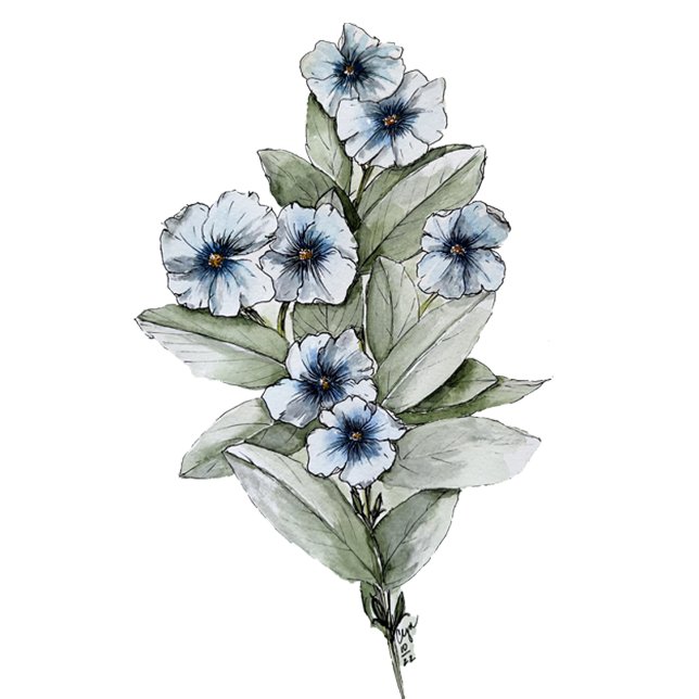 Mão Toalha de Convidado Floral Azul (Criador carregado)