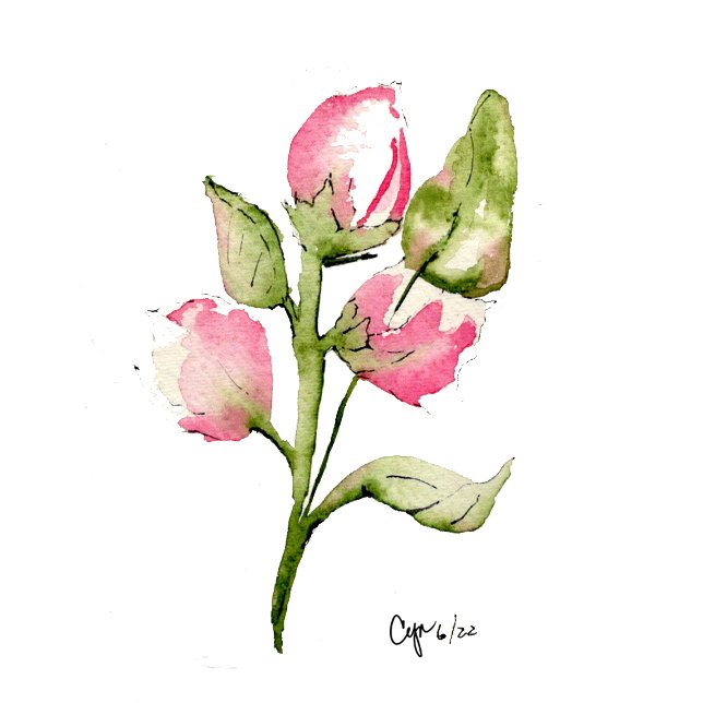 Mão Toalha de Convidado Floral de Bud Rosa (Criador carregado)