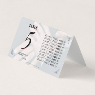 Mãos de um Casal de Casamento Gay com Anéis