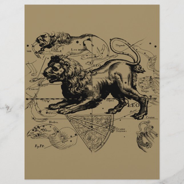 Mapa Constelado de Leo Hevelius por volta de 1690 (Frente)