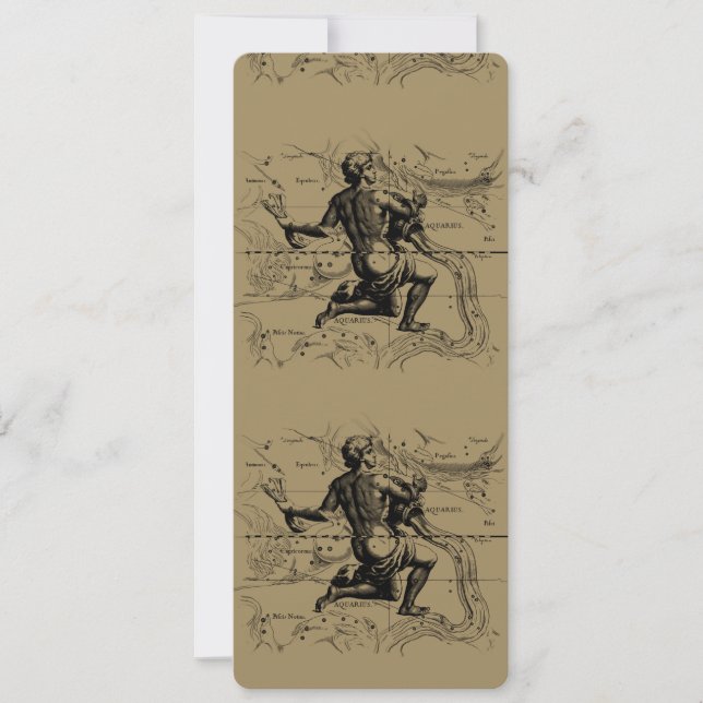 Mapa de Constelação de Aquário Hevelius 1690 em Ta (Frente)