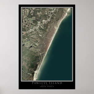 Mapa de Poster por Satélite da Carolina do Sul de