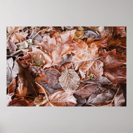 Mapeamento de fosco deixa Poster