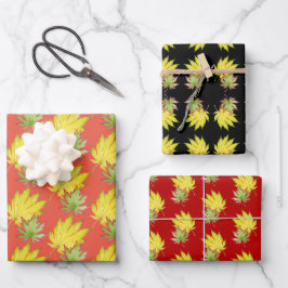 Mapeamento Japonês no Conjunto de Papel de Encapsu