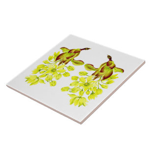 'Mapeamentos de Feliz' num Azulejo cerâmico (I)