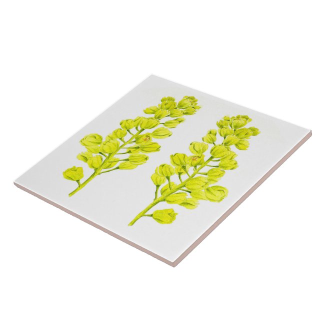 'Mapeamentos de Feliz' num Azulejo cerâmico (II) (Lateral)