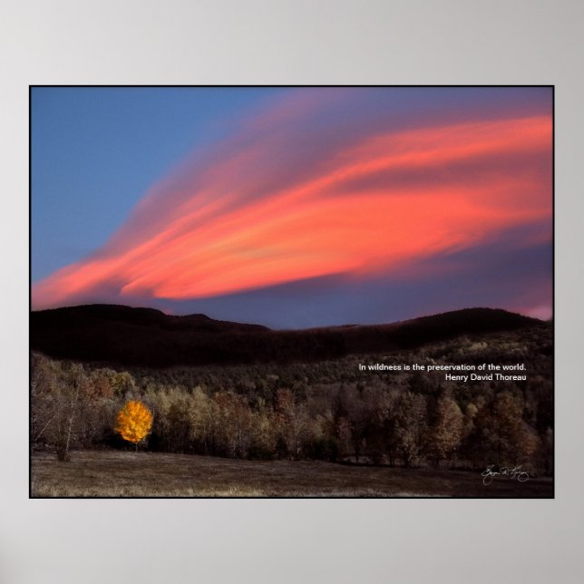 Maple Ablaze no Sunset: Poster de Thoreau Wildness (Frente)