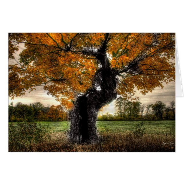 Maple Giant: cartão (Frente Horizontal)