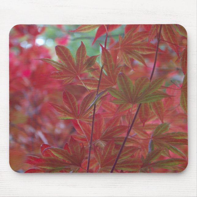 Maple Leaf Mousepad (Frente)