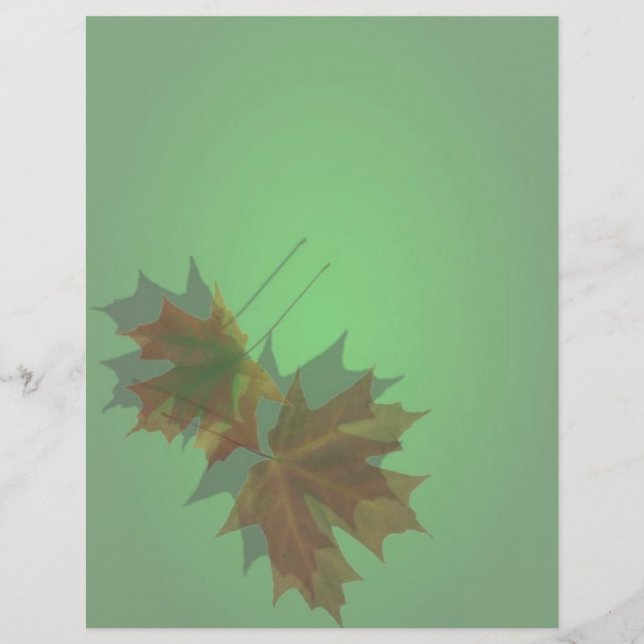 Maple Sair Letterhead (Frente)