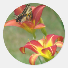 Maravilhas além do adesivo