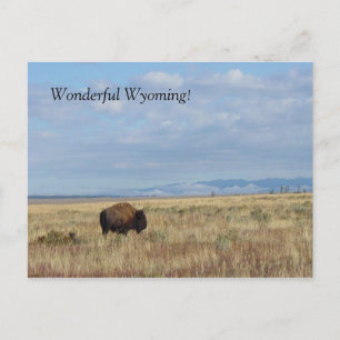 Maravilhoso Wyoming! Cartão Postal