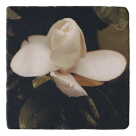 Marble Trivet com Magnolia Design