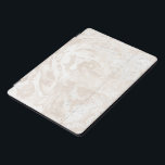 Marble White Ivory Stone Cinza Lux<br><div class="desc">design florenceK mínimo e elegância</div>