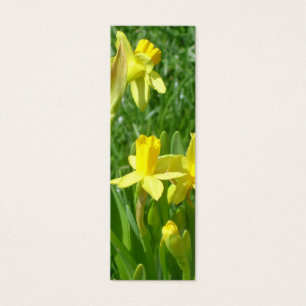 Marcador amarelo dos Daffodils do botão de ouro