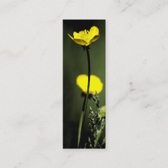 Marcador boreal cartão de visita (Frente)