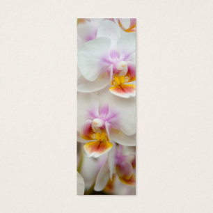 Marcador da orquídea